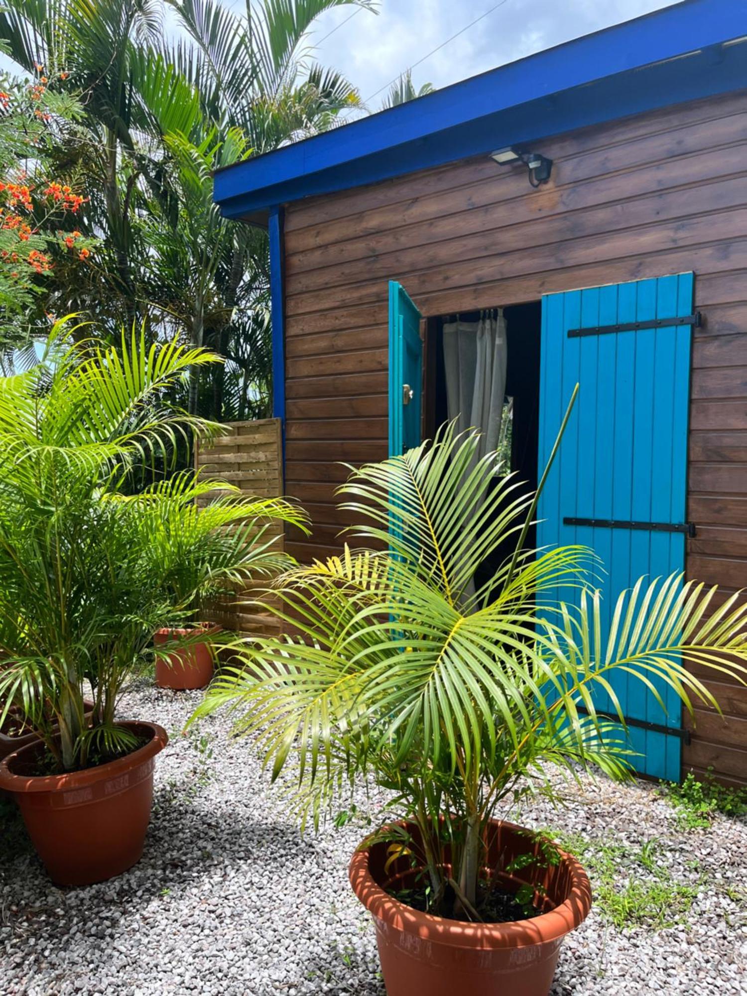 Bungalow Avec Vue Dans Lieu Calme Le Carbet Luaran gambar